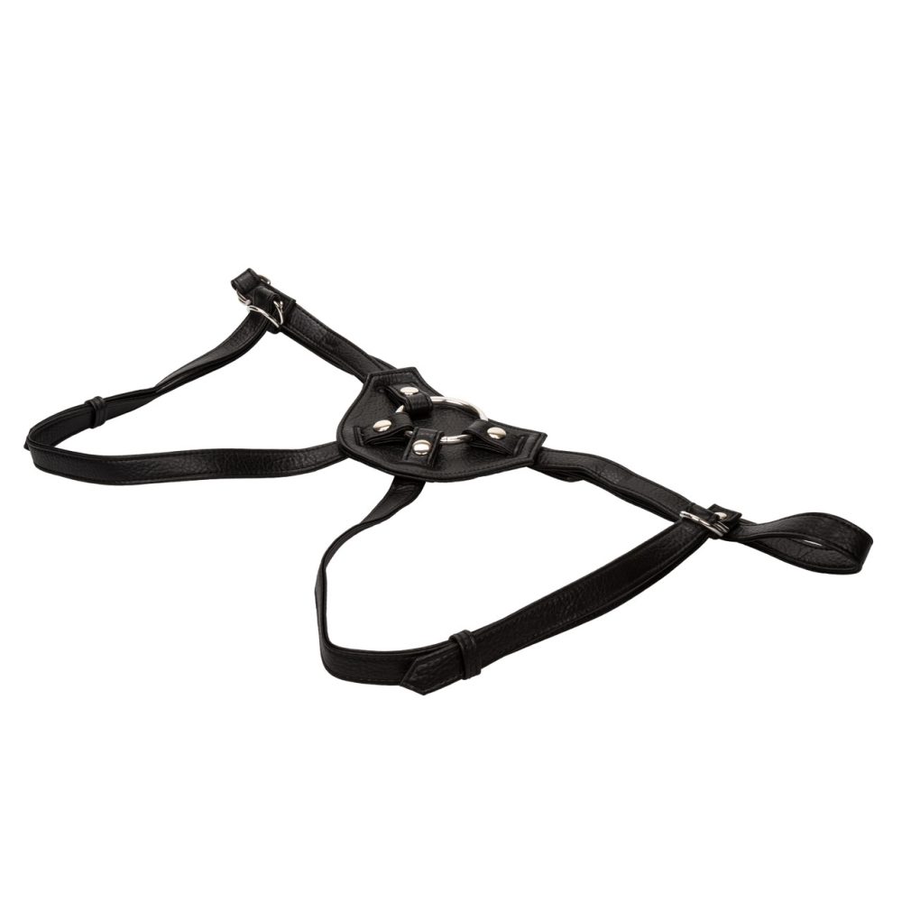Her Royal Harness - The Countess – Image 2