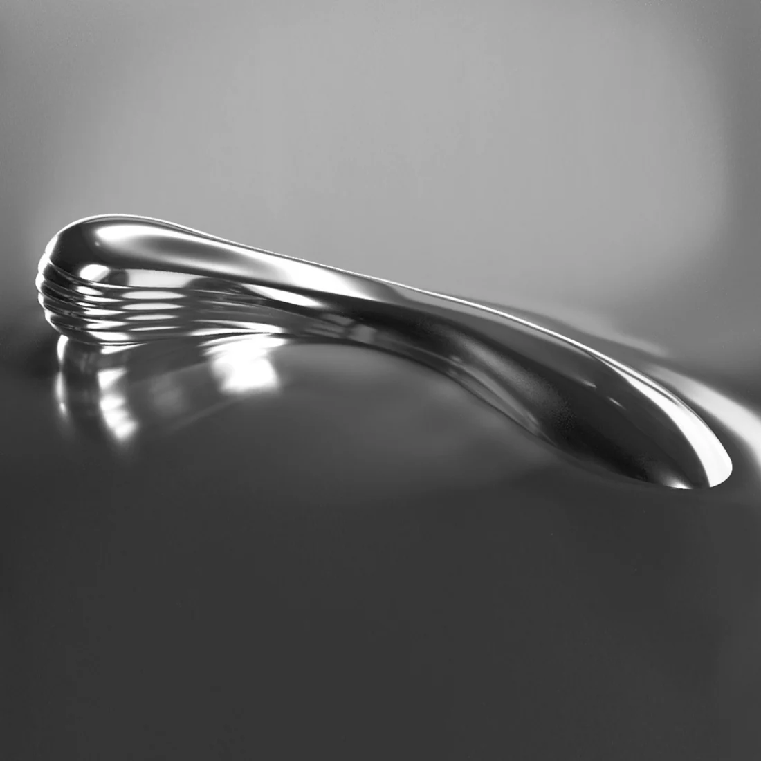 Biird Polii - Stainless Steel Dildo – Image 2