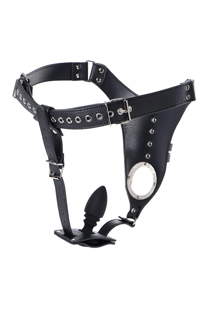 Strict - Male Chastity Harness with Silicone Anal Plug – Image 3