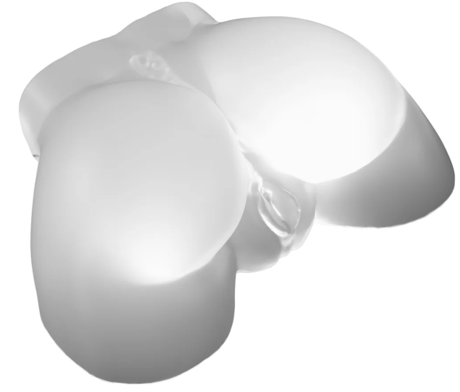 PDX ELITE GO-GO BOOTY LED 5LBS – Image 3